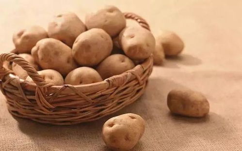 把主食換成它,3周降脂 8周降糖,10周降壓 人人都會做