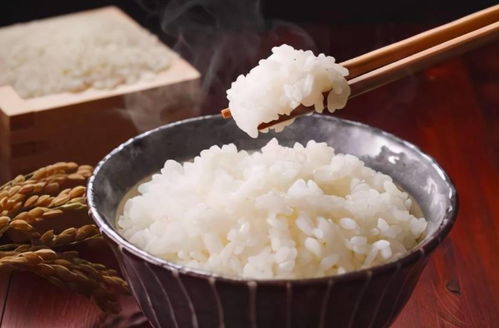 米飯當主食和面食當主食,對人有什么不同影響 哪個相對有益