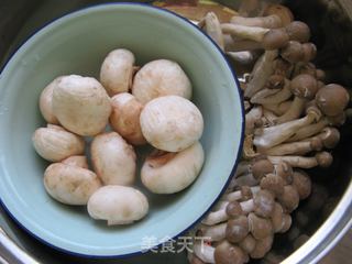 雙菇海蠣子鍋貼的做法 主食篇 雙菇海蠣子鍋貼怎么做