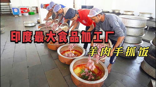印度最大的食品加工廠,流水線操作日產千斤,當地抓飯中的天花板