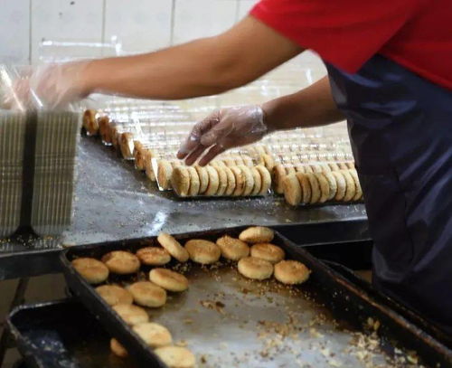 localand城廂會(huì)客館今日開館,帶你解鎖花樣玩法