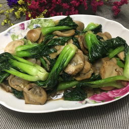 熱菜
