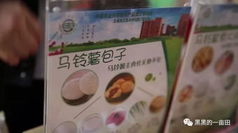 第十一屆中國 滕州 馬鈴薯科技文化節開幕,馬鈴薯主食化產品讓人大開眼界