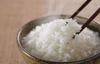 減肥就要拒絕吃主食 真相在這里